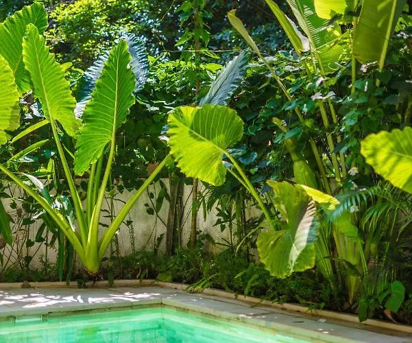 Kirana - Designer 2-bedroom With Pool In Pererenan チャングー